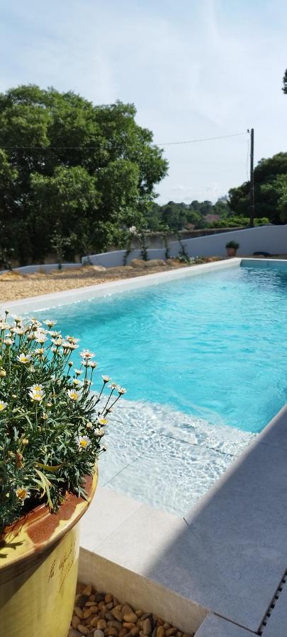 Bed and Breakfast Les Jasmins Нім Екстер'єр фото